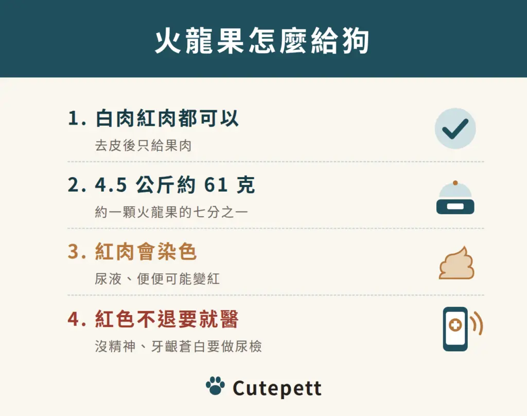 火龍果怎麼給狗：1 白肉紅肉都可以，去皮只給果肉；2 4.5 公斤的狗一天約 61 克；3 紅肉火龍果可能讓尿液便便變紅；4 紅色不退或沒精神、牙齦蒼白要就醫做尿檢
