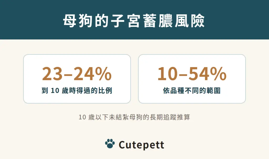 母狗的子宮蓄膿風險:未結紮母狗到 10 歲時平均約 23% 到 24% 得過子宮蓄膿,依品種不同在 10% 到 54% 之間