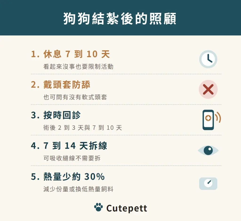 狗狗結紮後的照顧:休息 7 到 10 天、戴頭套防止舔傷口、術後 2 到 3 天與 7 到 10 天回診、7 到 14 天拆線、所需熱量少約 30%
