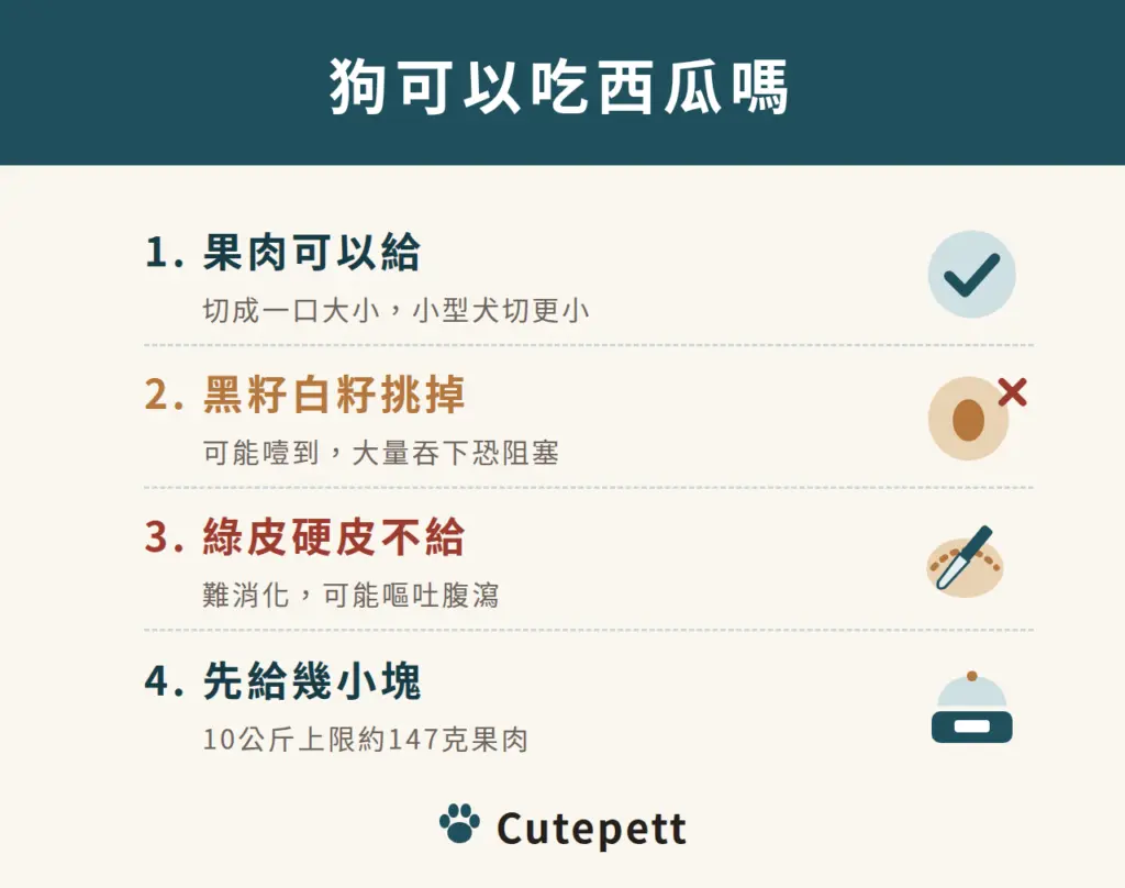 狗吃西瓜的四個重點：果肉可以給、黑籽白籽挑掉、綠皮與硬皮不給、第一次先給幾小塊，10 公斤的狗一天上限約 147 克果肉
