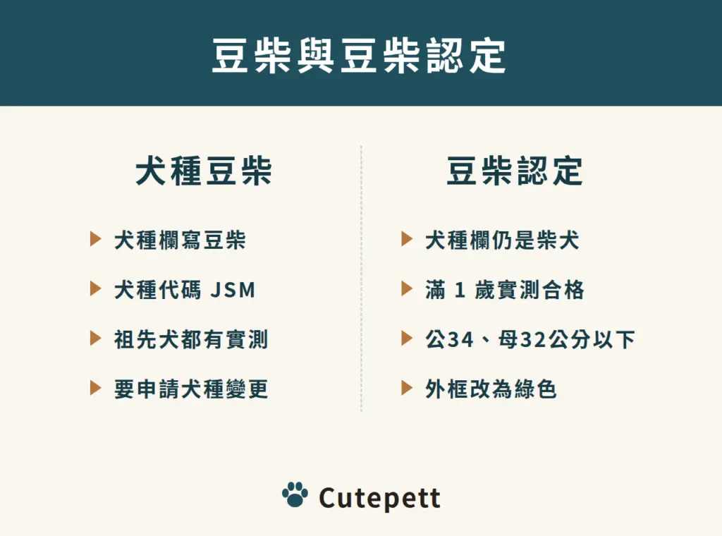 犬種豆柴與豆柴認定的差別:犬種豆柴的犬種欄寫豆柴、代碼 JSM、祖先犬都有實測肩高、要申請犬種變更;豆柴認定的犬種欄仍是柴犬、滿 1 歲實測合格、公犬 34 公分與母犬 32 公分以下、血統書外框改為綠色