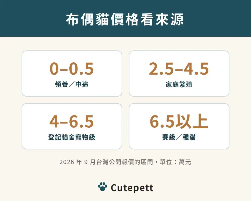 台灣布偶貓價格帶（萬元）：領養或中途 0 到 0.5、家庭繁殖 2.5 到 4.5、登記貓舍寵物級 4 到 6.5、賽級或種貓 6.5 以上